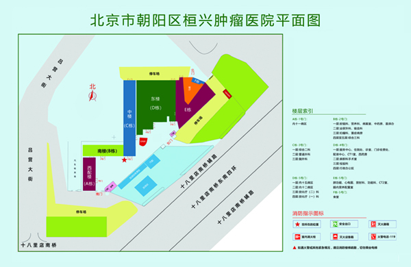 美女黄页网址视频观看北京市朝阳区桓兴肿瘤医院平面图